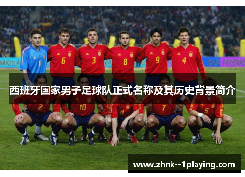 西班牙国家男子足球队正式名称及其历史背景简介
